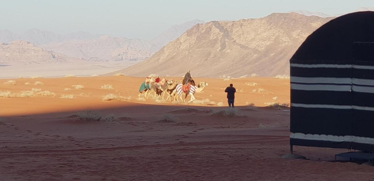 Hotel Real Bedouin Experience Tours & Camp Wadi Rum Zewnętrze zdjęcie