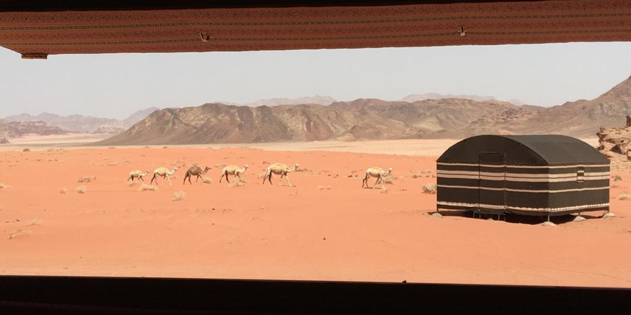 Hotel Real Bedouin Experience Tours & Camp Wadi Rum Zewnętrze zdjęcie